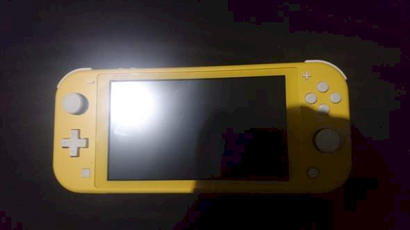 Nintendo Switch Lite not working since update