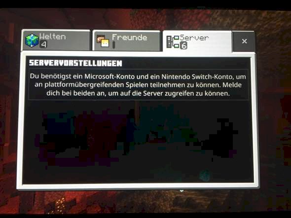 Nintendo Switch Minecraft problem