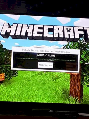 Can t join friends on Minecraft Bedrock Ps4, what to do