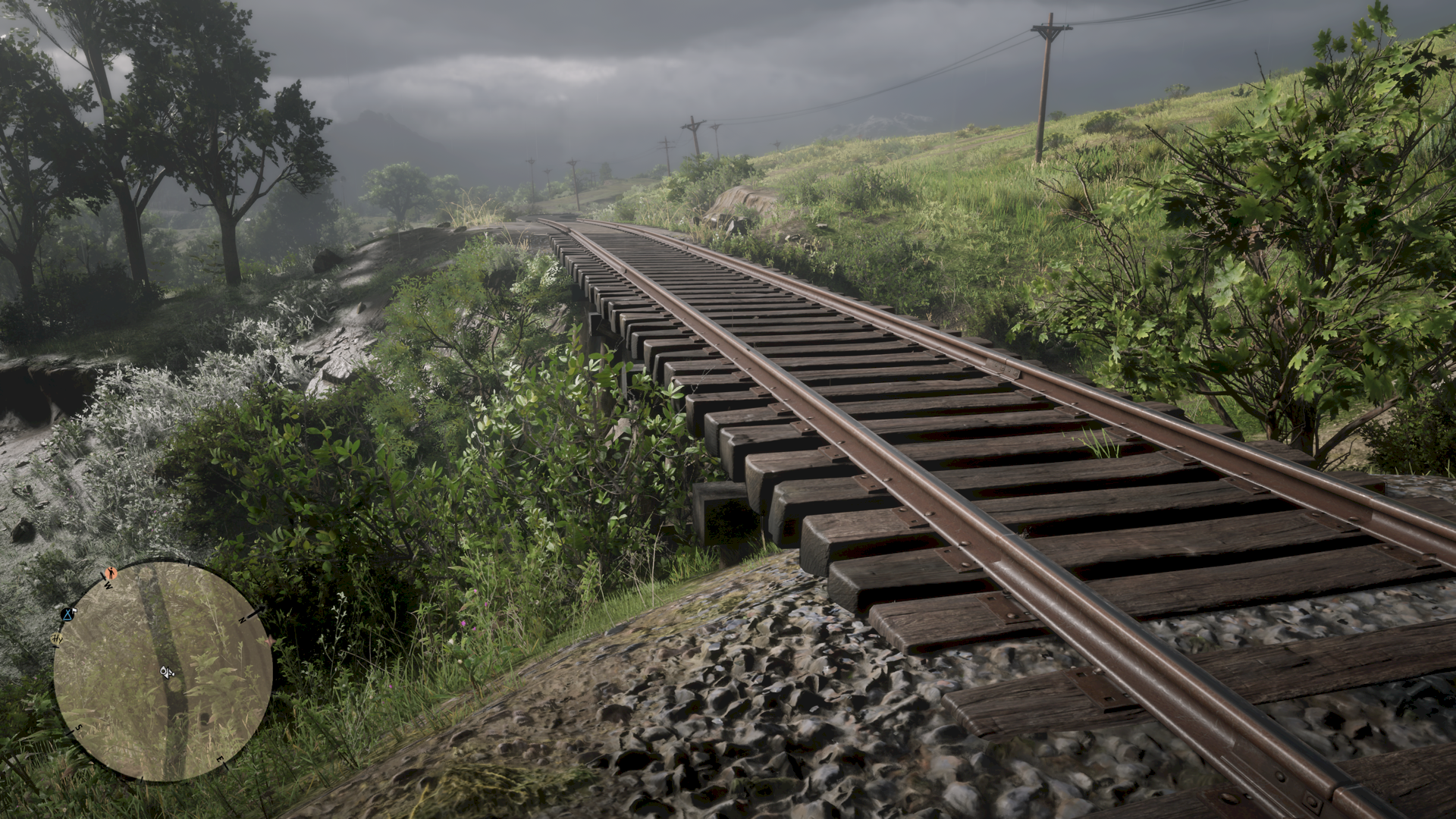Red Dead Online Are there trains and are there also wheeled trolleybuses